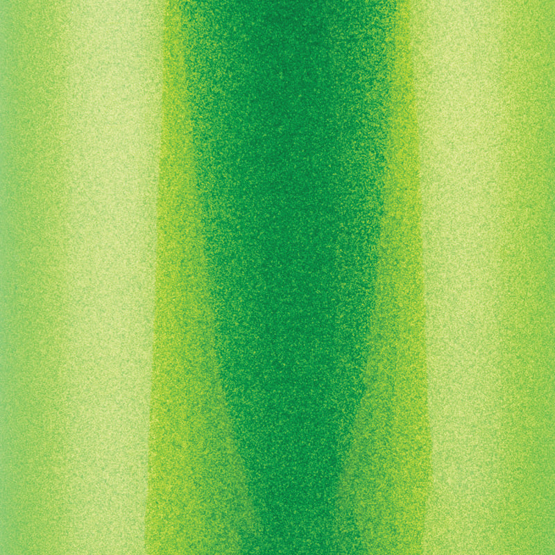 Wehrli 20-24 Duramax L5P Auxiliary Coolant Tank Kit - Sparkle Granny Smith