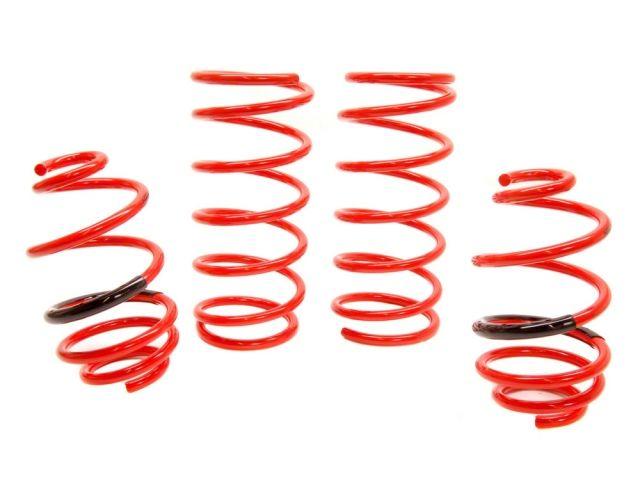 Tanabe NF210 Springs 10-14 Cube