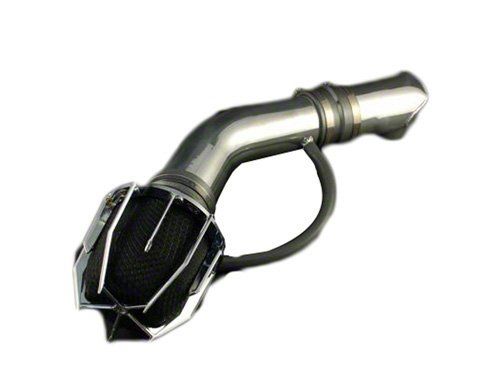 Weapon R 01-05 Honda Civic EX/HX/LX/DX Dragon Intake Polished