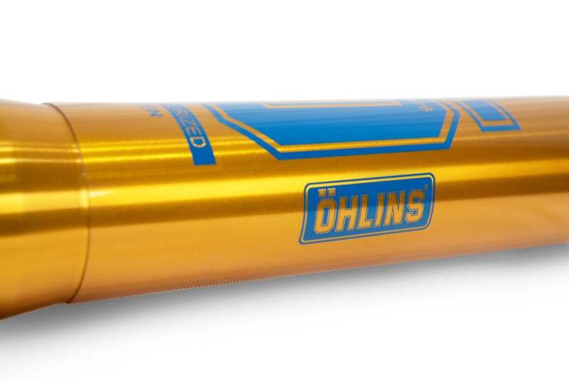 Ohlins 21-23 Gas Gas EC 250 RXF 48 Fork