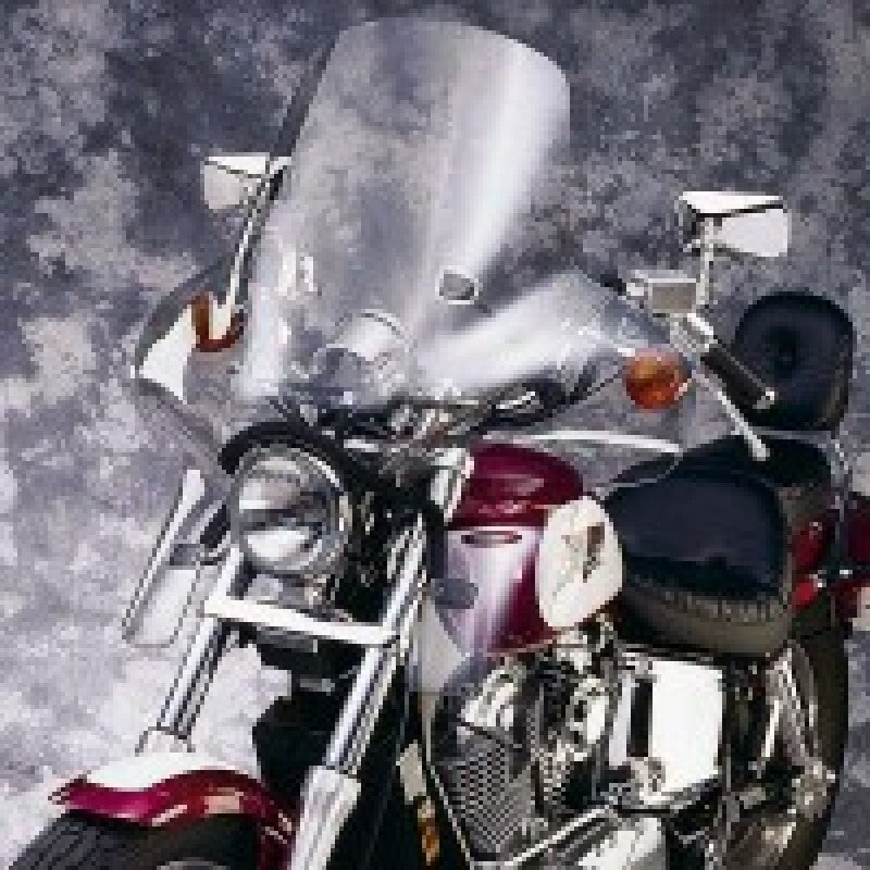 National Cycle 75-85 Honda GL500-1200/ 81-03 LS650/XV920E Plexifairing 3-Clear