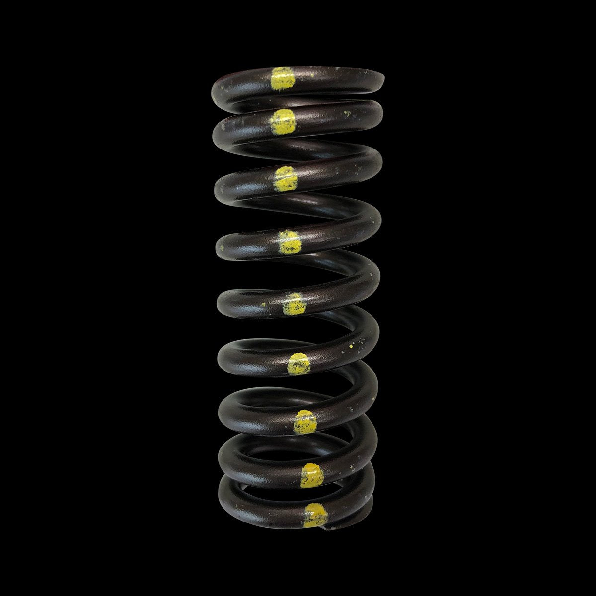 Brian Crower Honda D16Y8/D16Z6 Single Valve Spring - Single