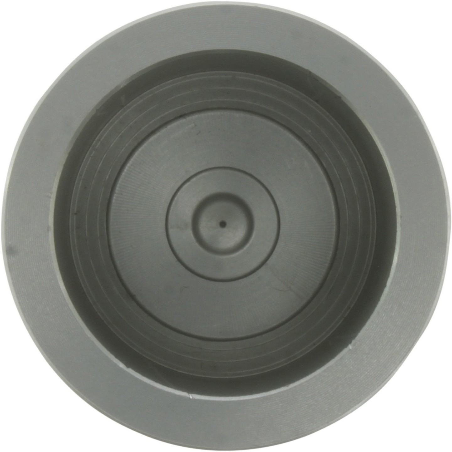 Centric Caliper Piston - Rear
