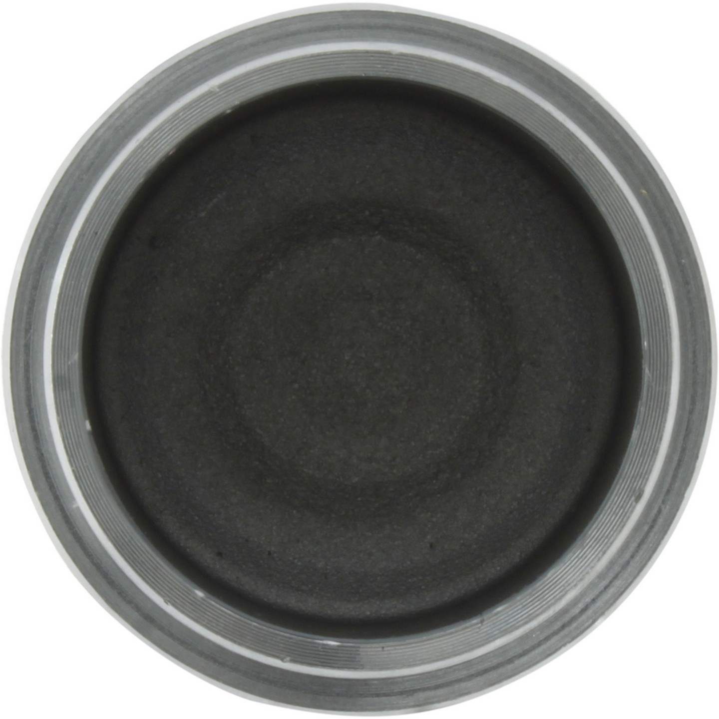 Centric Caliper Piston - Front