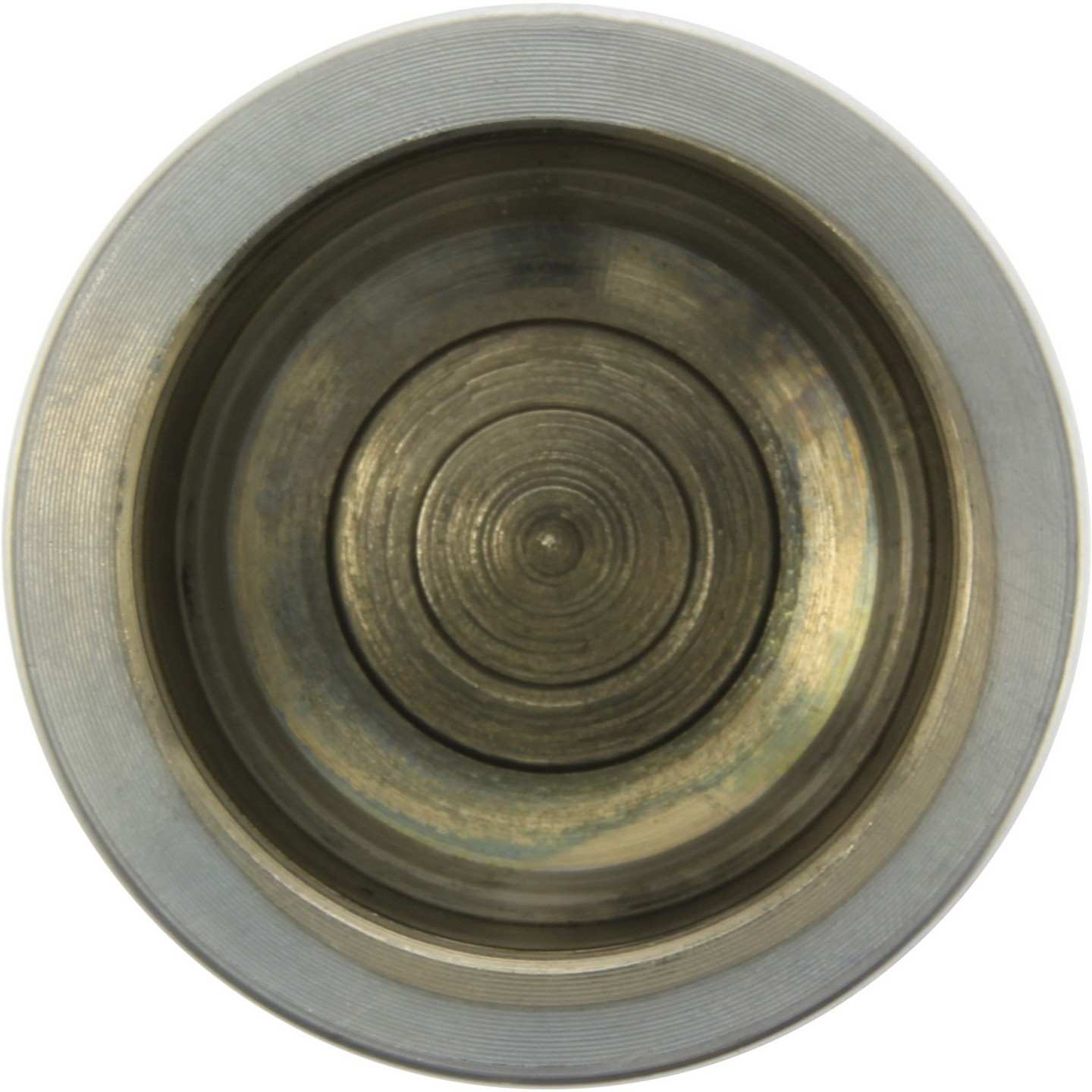 Centric 99-10 Volkswagen Beetle Replacement Front Caliper Piston