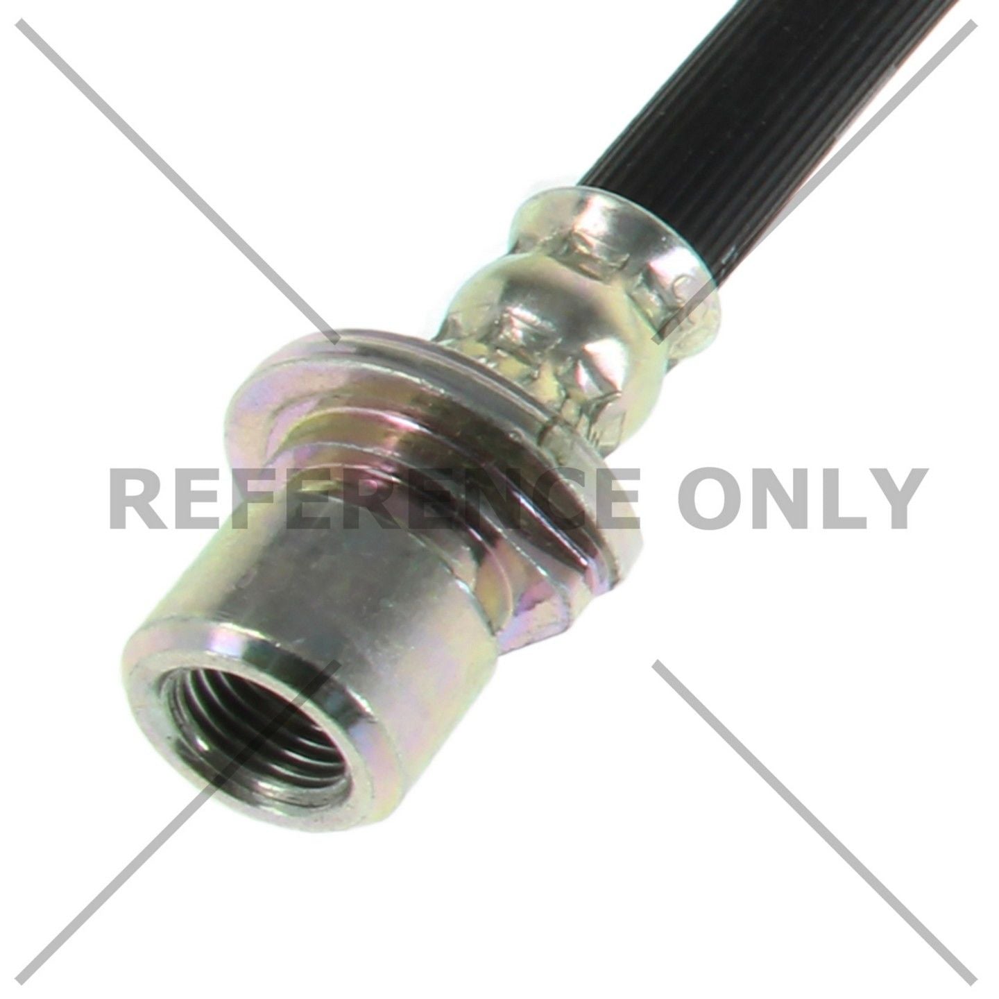 Centric 18-19 Honda CR-V Brake Hose - Rear Left