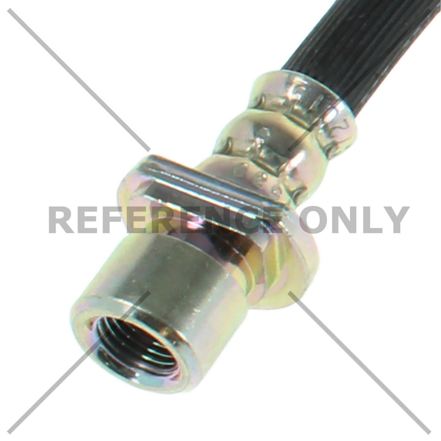 Centric 18-20 Honda Accord Brake Hose - Rear Right