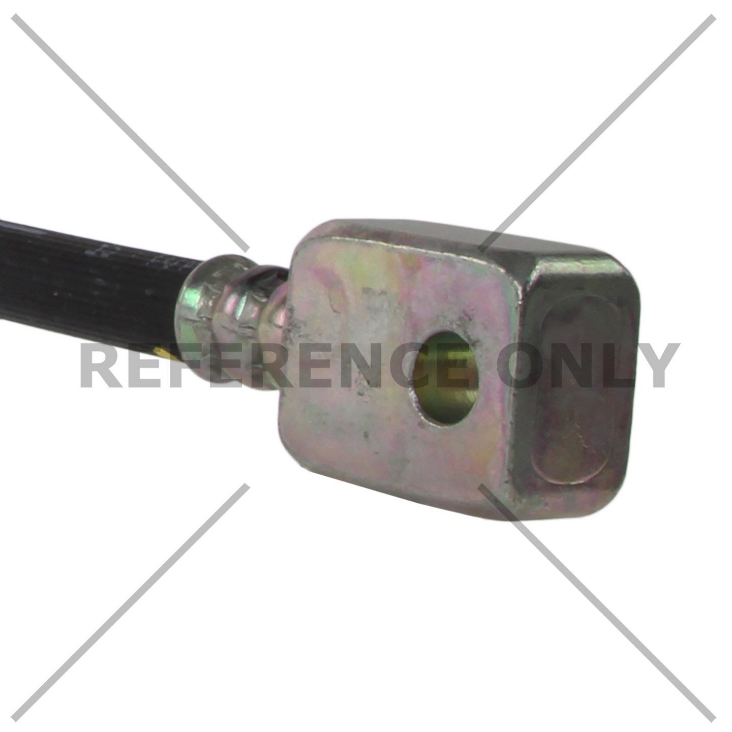 Centric 17-21 Nissan Titan Brake Hose - Rear Upper