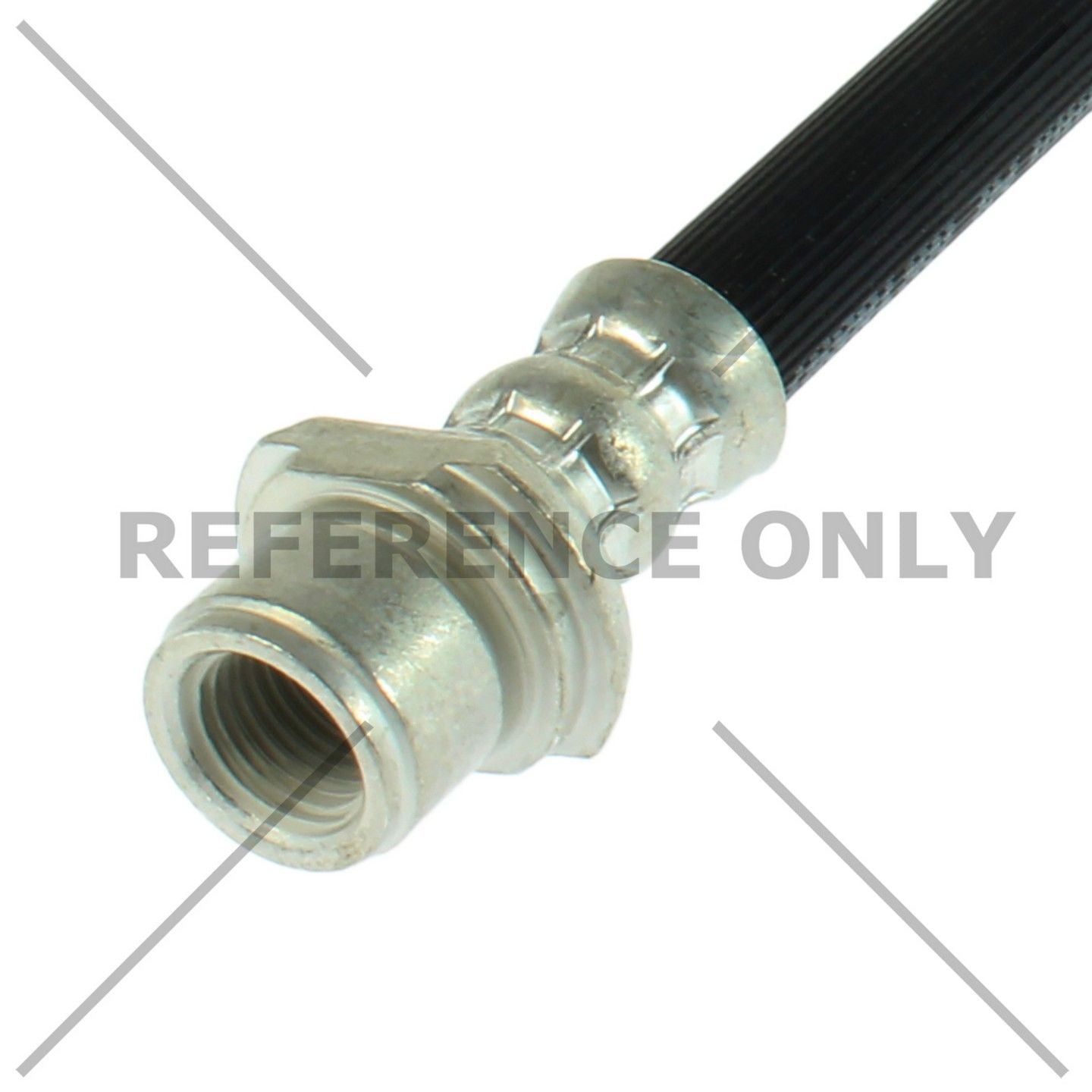 Centric 18-19 Lexus ES350 Brake Hose - Front Right