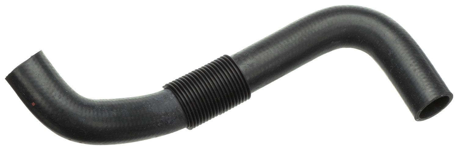 Gates 98-02 Mazda 626 V-6 2.5L Lower Molded Coolant Hose