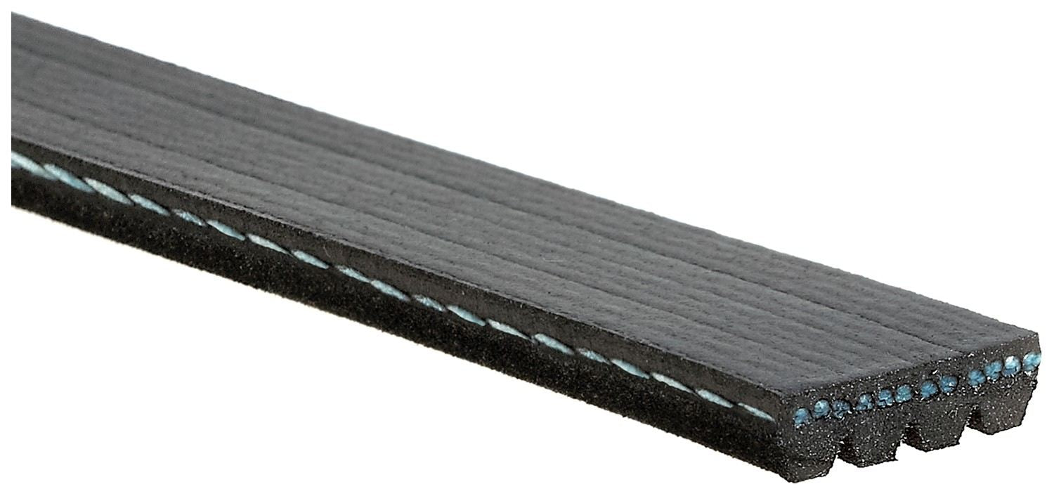 Gates 20-22 Ford Mustang V-8 5.2L Serpentine Standard V-Ribbed Belt