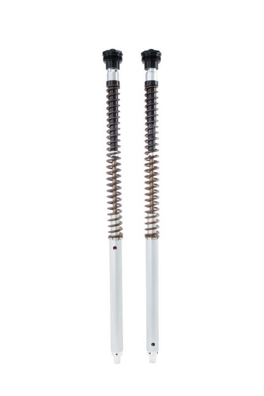 Ohlins 17-22 Ducati Scrambler Desert Sled(KYB) NIX 30 Adv Cartridge Kt (Springs/Oil Sold Separately)