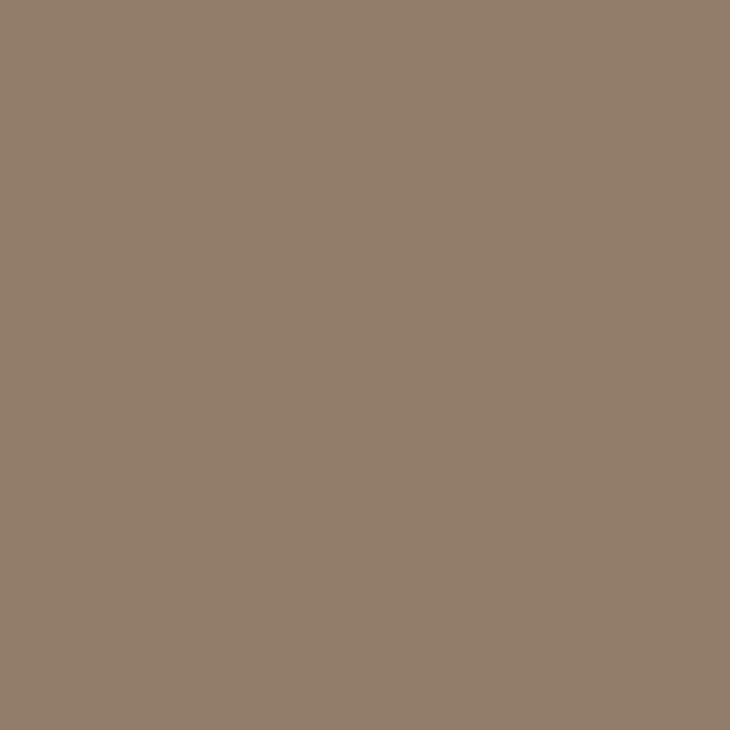 Covercraft 15-26 Ford Transit Endura Waterproof SeatSaver Second Row Seat Covers-Taupe