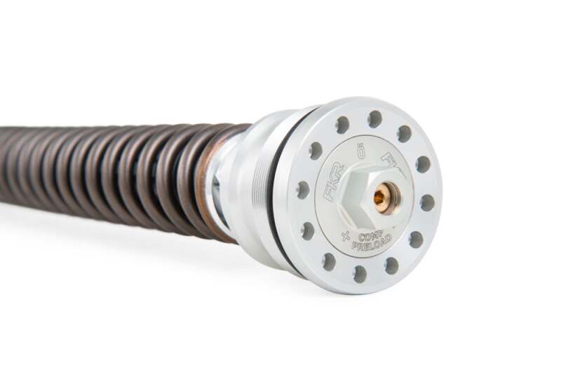 Ohlins 15-17 Ducati Panigale R (Ohlins FL 923) FKR 100 Cartridge Kit