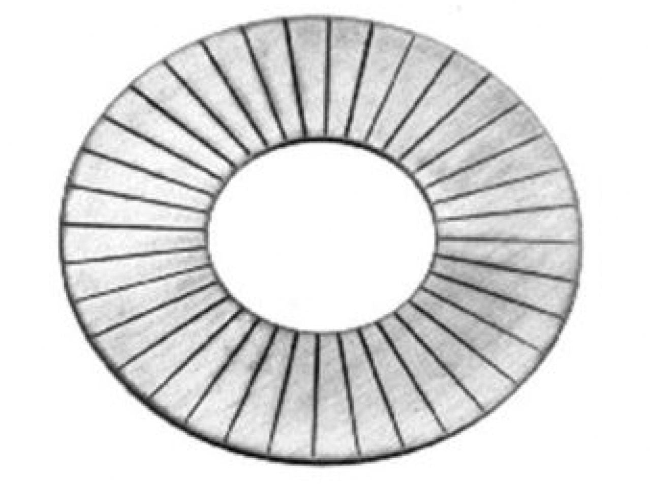 Manley Valve Spring Shim, SHIMS-1.480 X .060