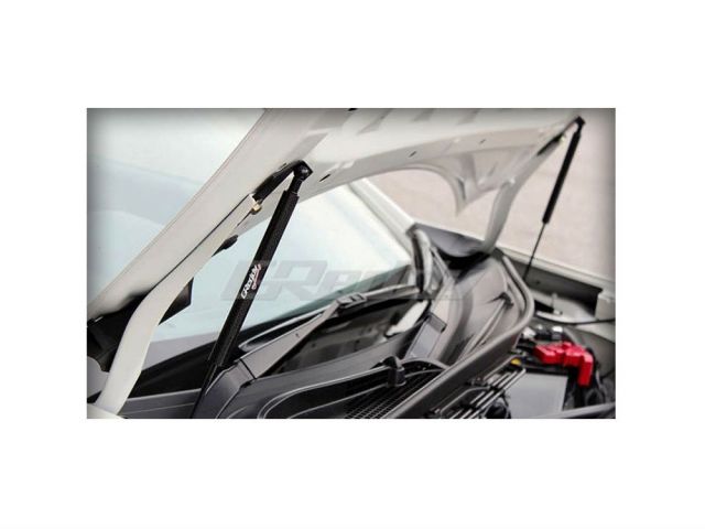 GReddy 13 Scion FR-S Engine Hood Lifter Kit (Designed for OEM weight hoods.)