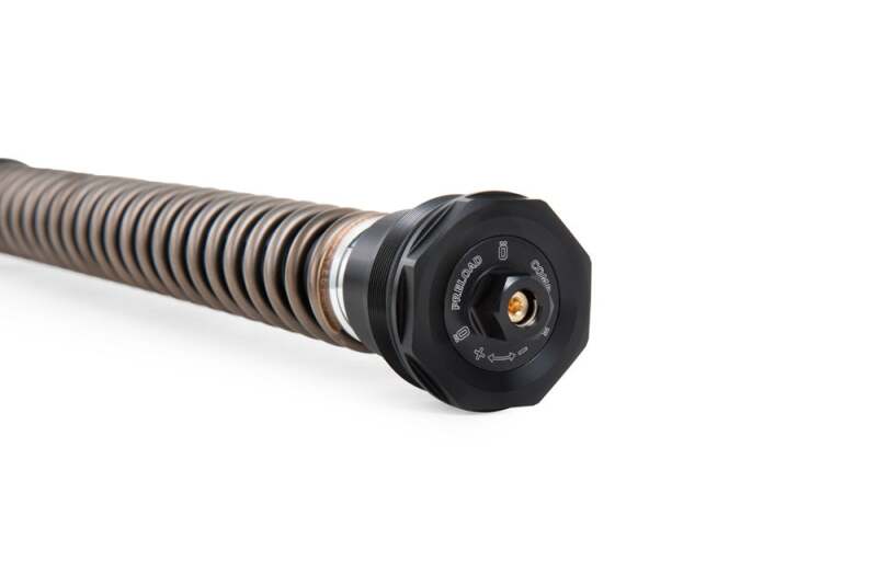 Ohlins 17-21 Kawasaki Z900RS Performance NIX 30 Street Cartridge Kit (Springs/Oil Sold Separately)