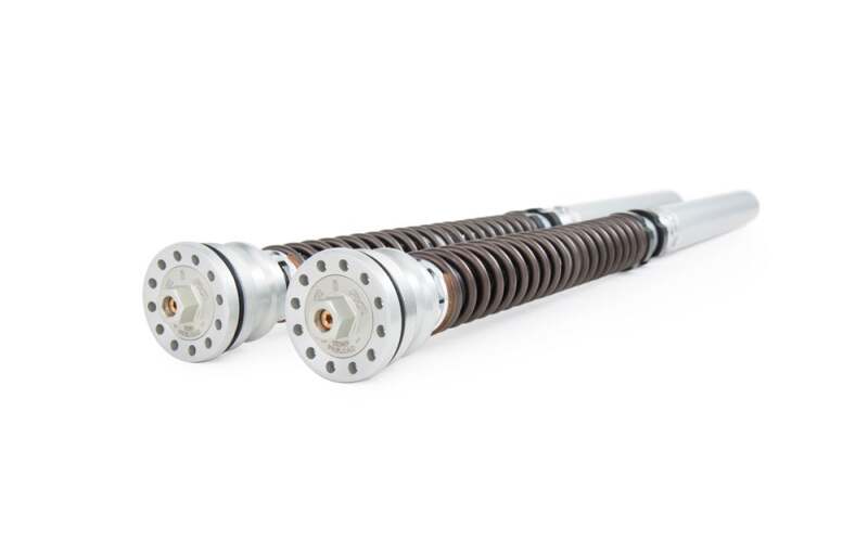 Ohlins 15-17 Ducati Panigale R (Ohlins FL 923) FKR 100 Cartridge Kit