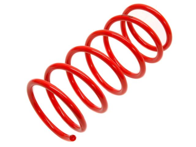 Tanabe NF210 Springs 10-14 Cube