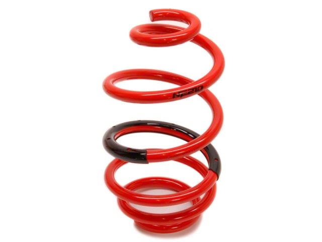 Tanabe NF210 Springs 10-14 Cube