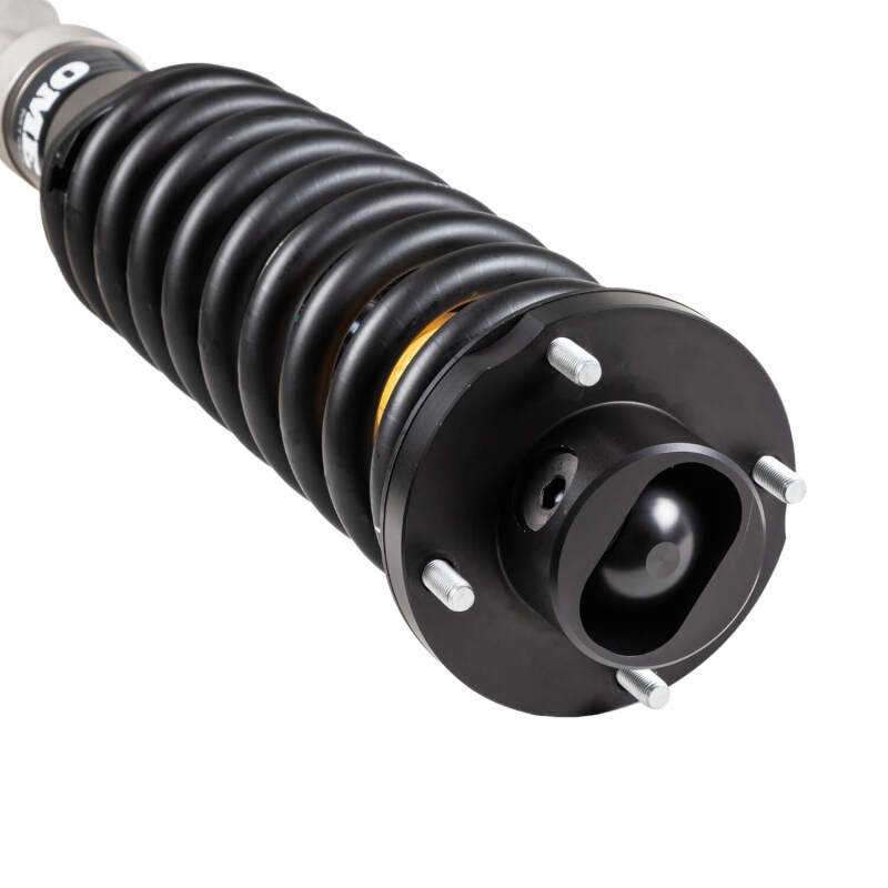 ARB 2024+ Toyota LC 250 MT64 Strut Assy Med
