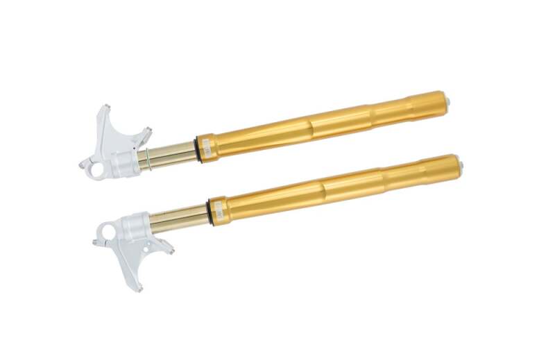 Ohlins 11-15 Kawasaki ZX-10R FGRT 200 Fork