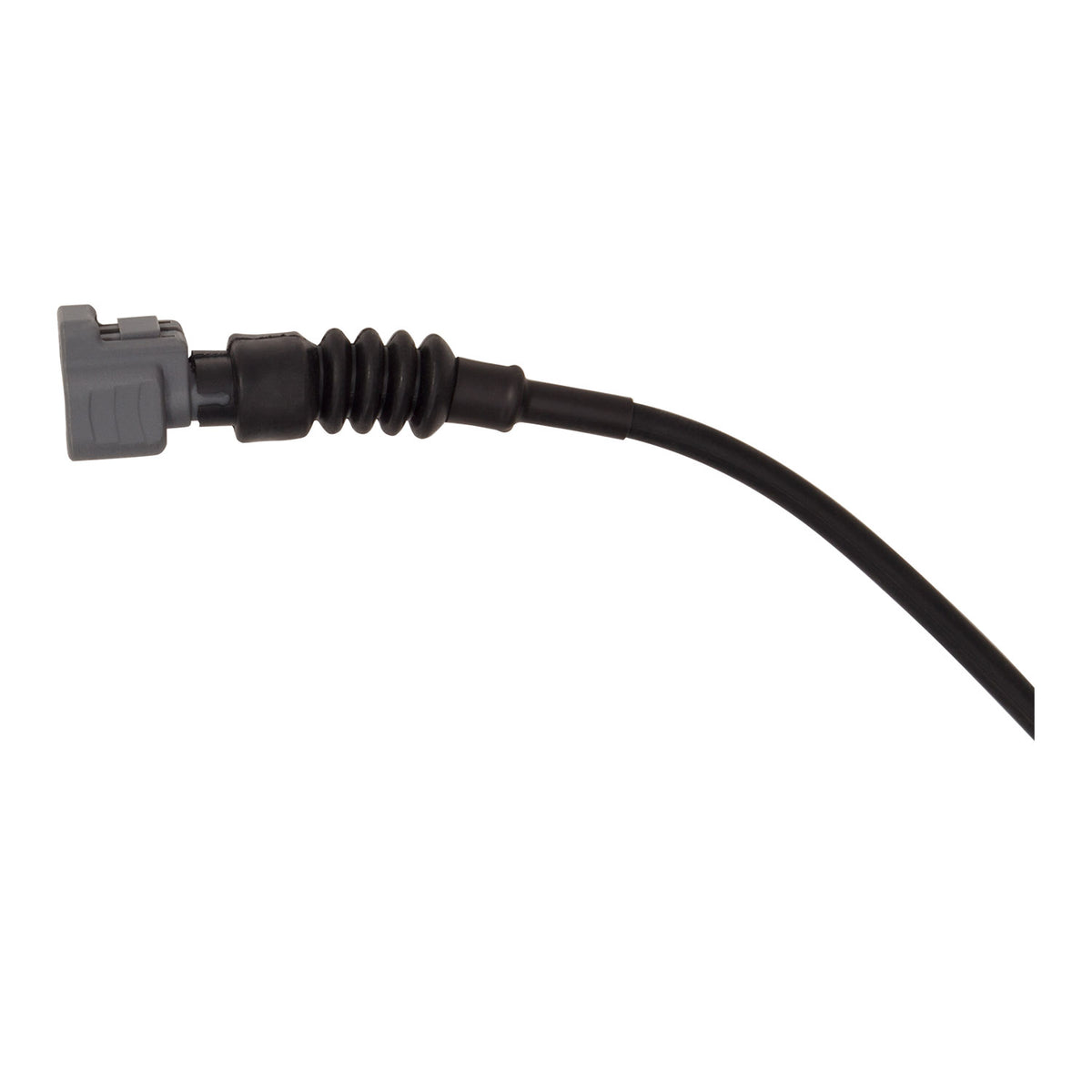 R1 2015-2025 Lexus RC F Front Sensor Wire