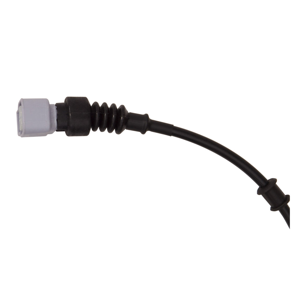 R1 2018-2025 Lexus LS500 Rear Sensor Wire