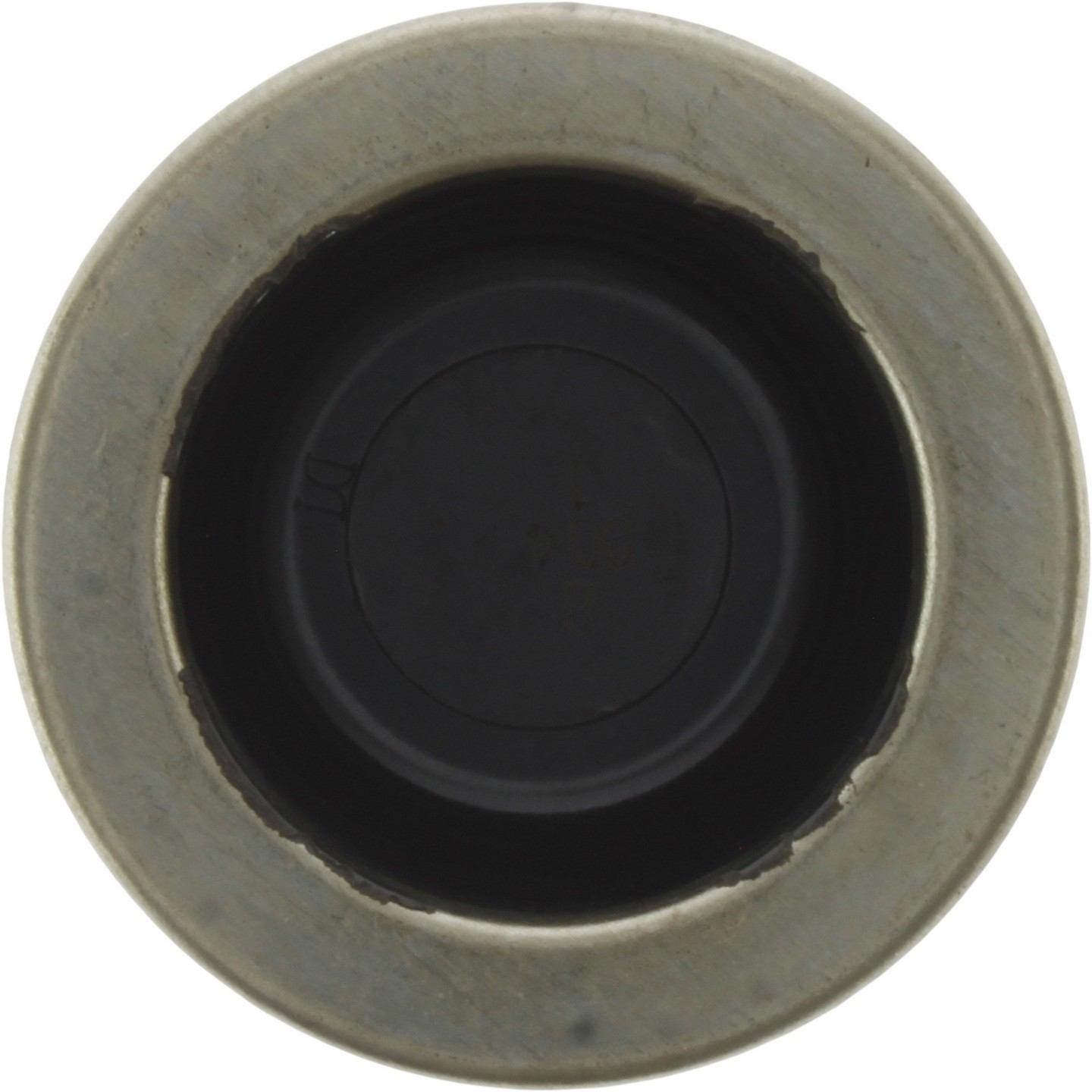 Centric 97-04 Ford F-150 Front Brake Caliper Piston