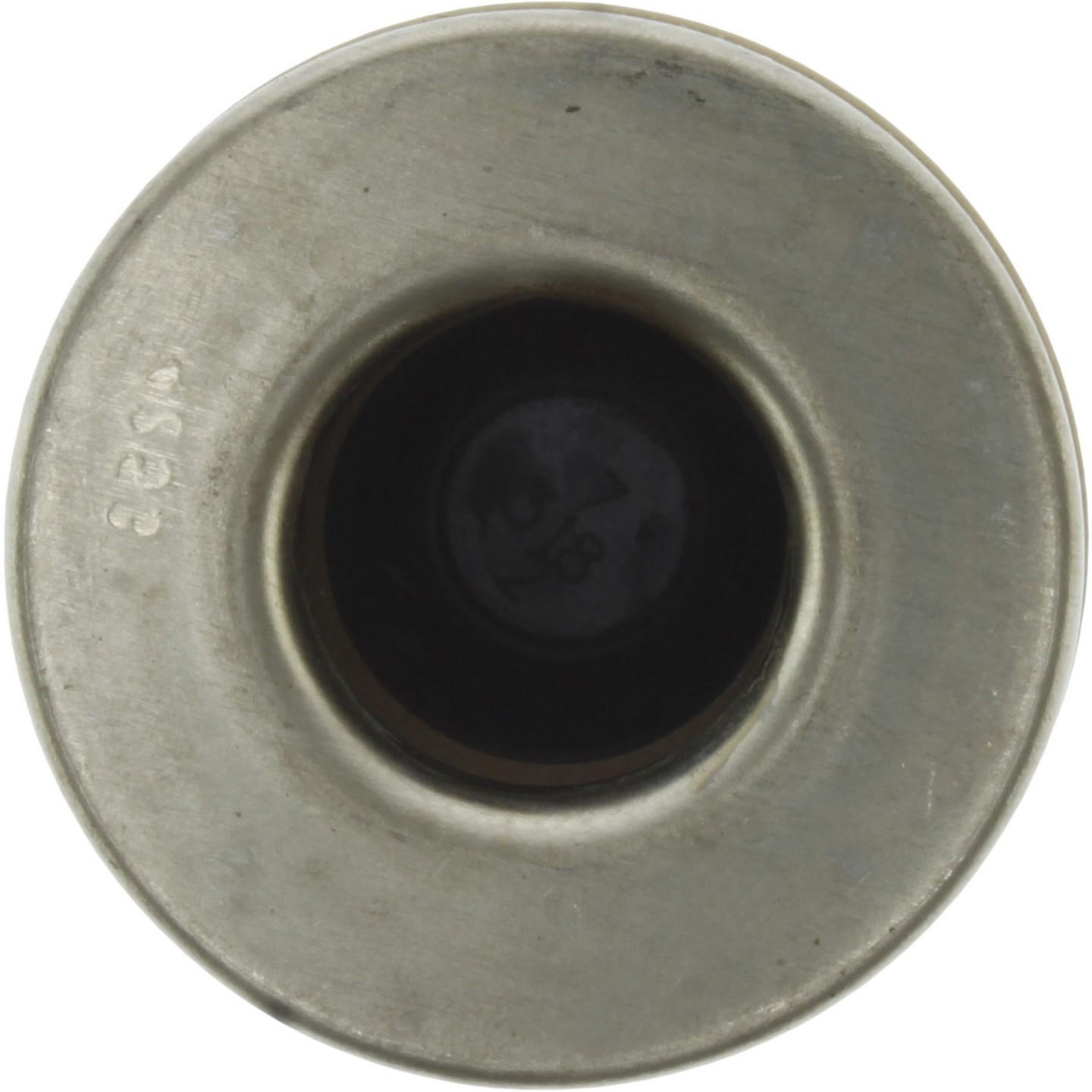 Centric 97-04 Ford F-150 Rear Brake Caliper Piston