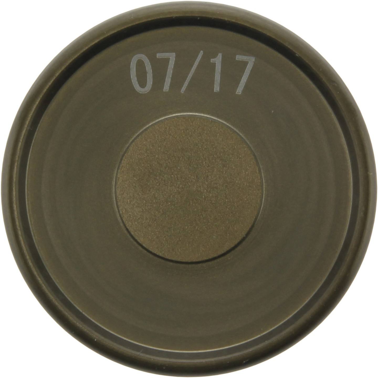 Centric Caliper Piston - Front/Rear