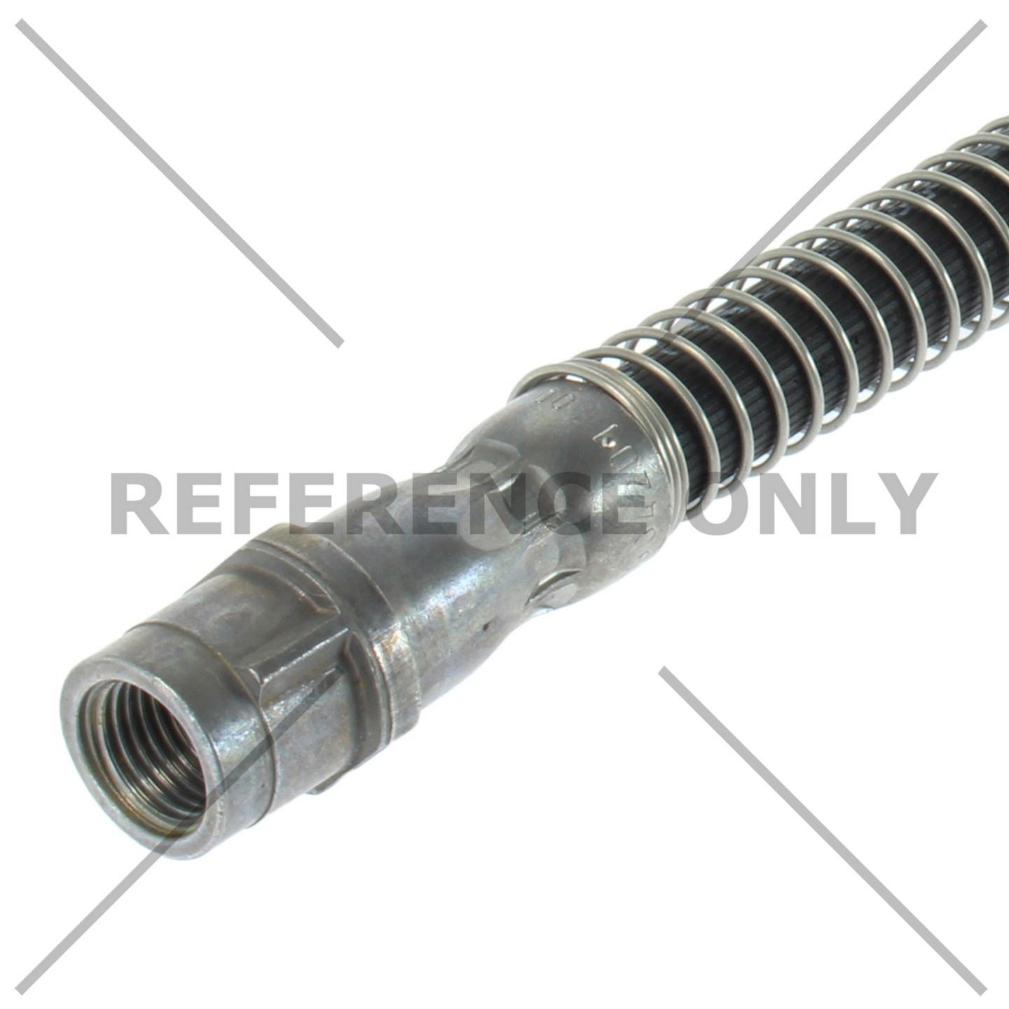 Centric 18-20 Mercedes-Benz AMG GT Brake Hose - Rear