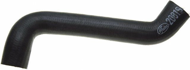 Gates 66-68 Chevrolet Corvette V-8 427 Lower Molded Coolant Hose