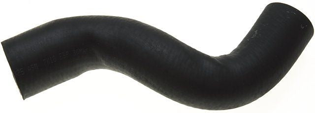 Gates 96-98 Ford Explorer V-8 5.0L Lower - Rad. To Pipe-1 Molded Coolant Hose