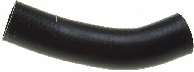 Gates 00-04 Dodge Dakota V-8 4.7L Upper - Rad. To Cap Molded Coolant Hose