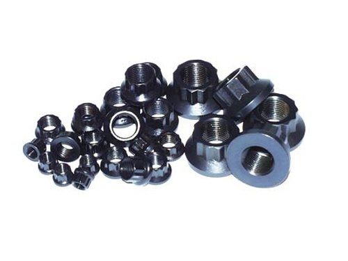 ARP 1/4-20 12pt Nut Kit