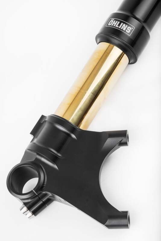 Ohlins 11-18 Ducati Diavel Custom 48 Blackline Fork