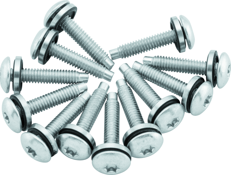 Twin Power 04-17 Dyna Models Fuel Pump Plate Screw Kit Replaces H-D 1331