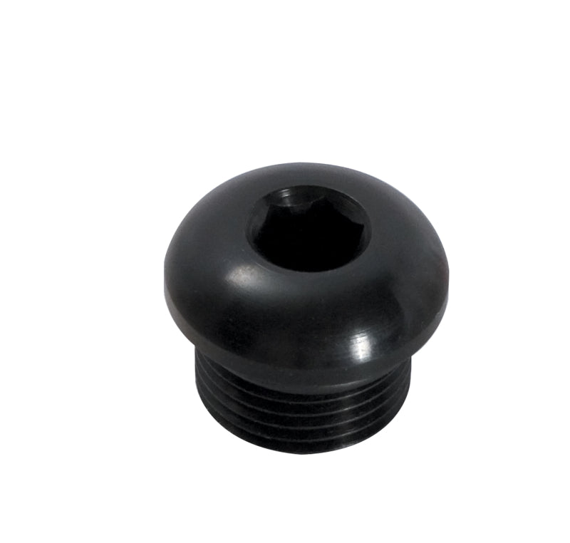 Peterson Fluid Systems Port Plug -8AN Internal Hex