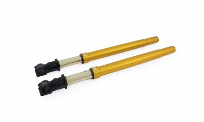Ohlins Harley-Davidson Custom 43 USD Gold Fork *See Tech Notes*