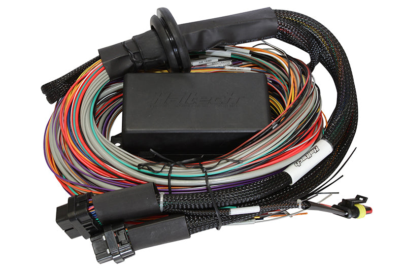 Haltech Elite 1500 Premium Universal Wire-In Harness - 2.5m (8ft)