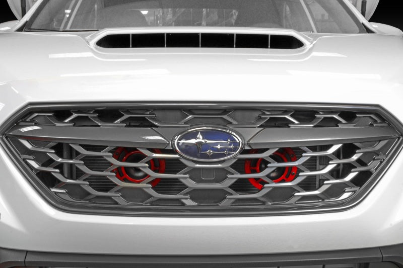 PERRIN 22-25 Subaru WRX Hella Horn Bracket (Bracket ONLY)